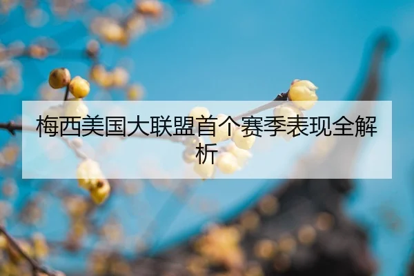 mei-xi-mei-guo-da-lian-meng-shou-ge-sai-ji-biao-xian-quan-jie-xi-2-978.jpg