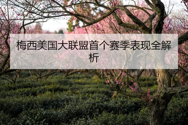 梅西美国大联盟首个赛季表现全解析